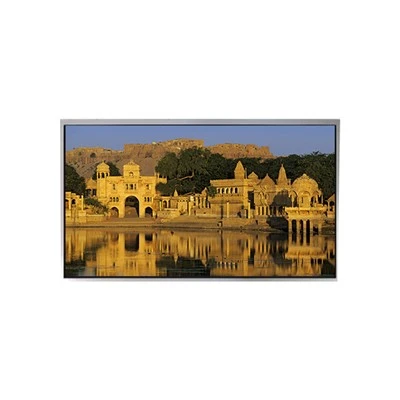औद्योगिक के लिए P1010WSN1ME01 10.1 इंच टीएफटी-एलसीडी स्क्रीन